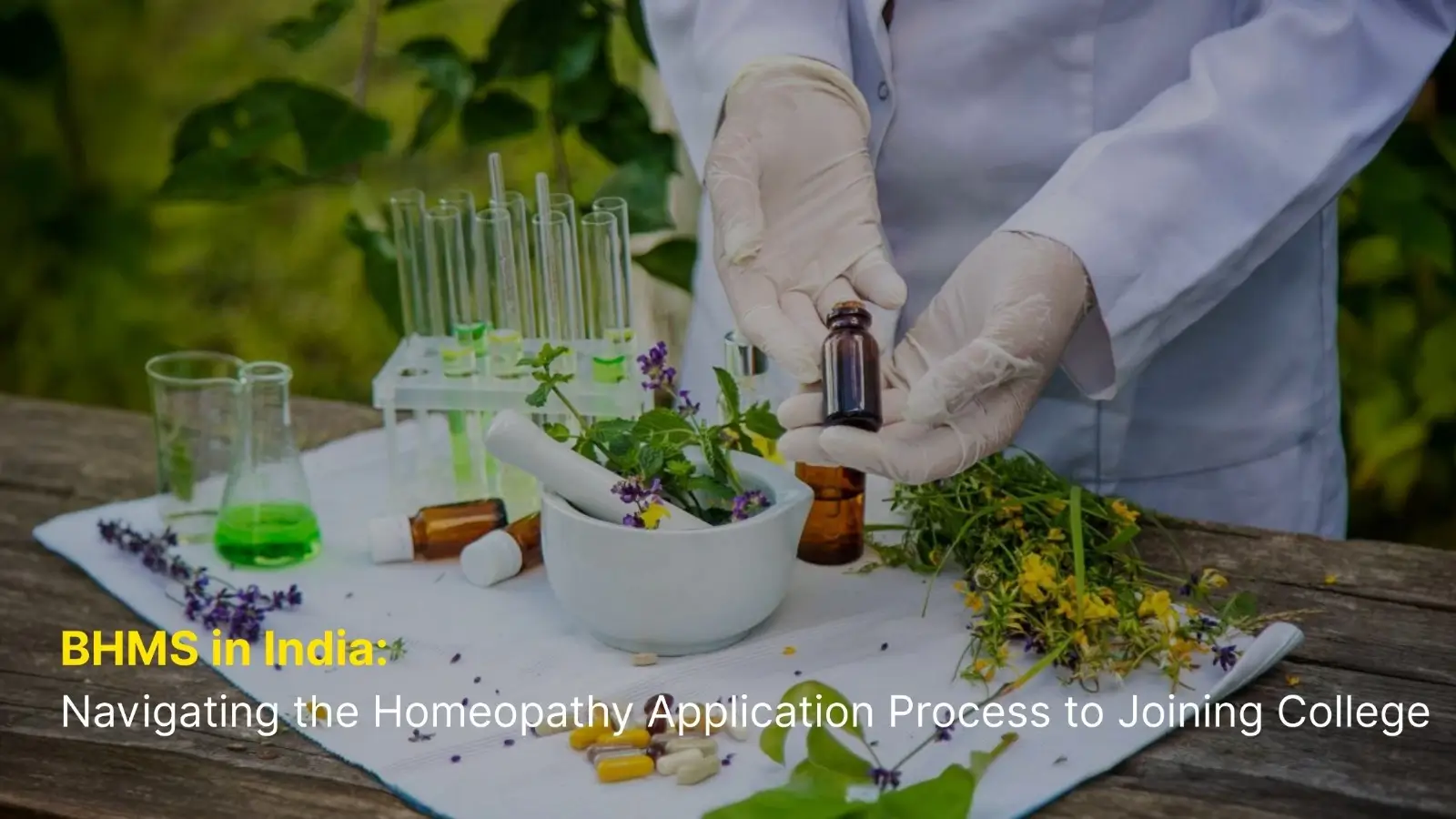 BHMS in India: Navigating the Homeopathy Application Process to Joining College