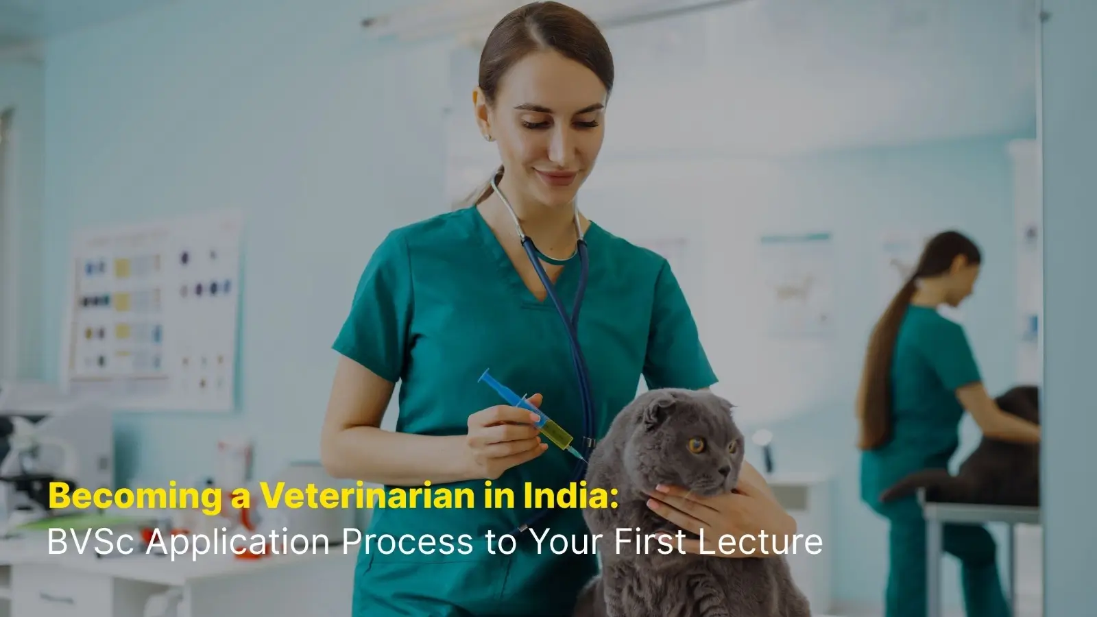 Becoming a Veterinarian in India: BVSc Application Process to Your First Lecture